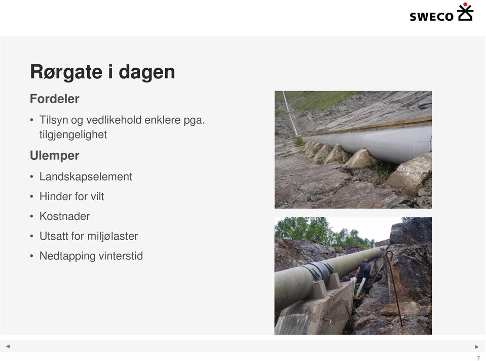 tilgjengelighet Ulemper Landskapselement