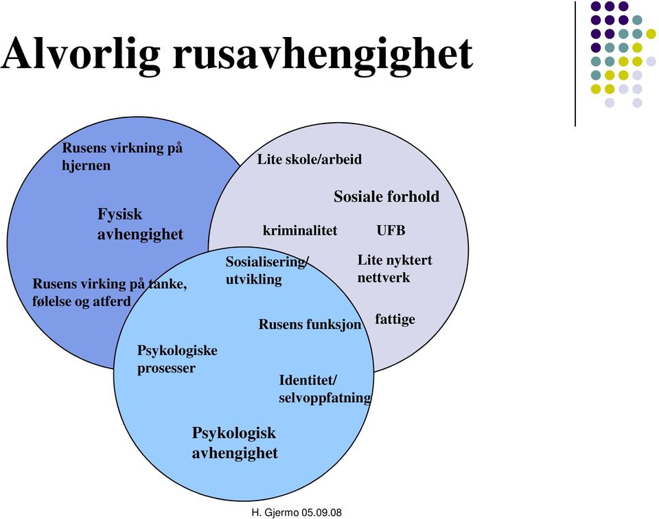 kriminalitet Sosialisering/ utvikling Rusens funksjon Identitet/