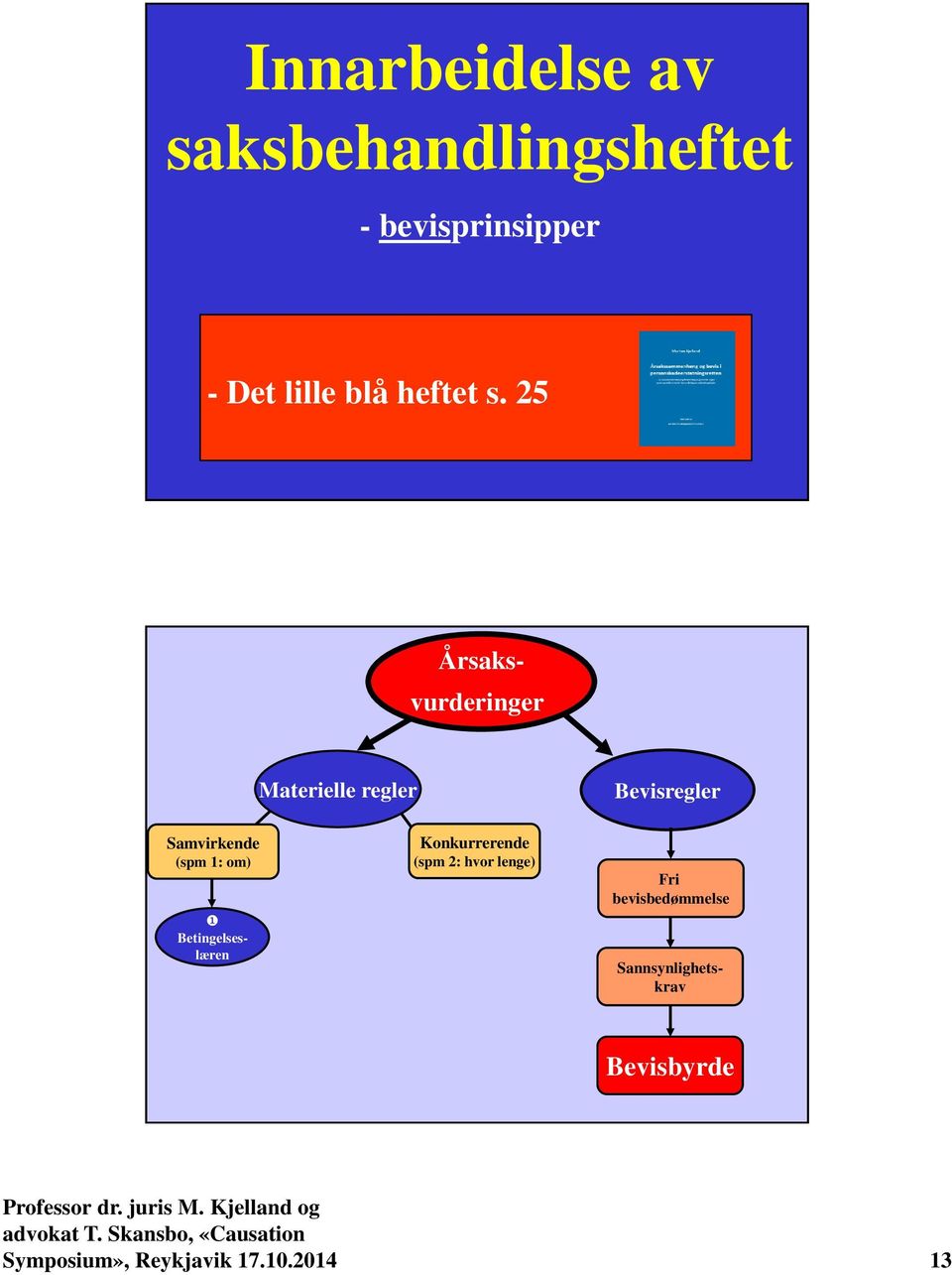 25 Årsaks- vurderinger Materielle regler Bevisregler Samvirkende (spm 1: