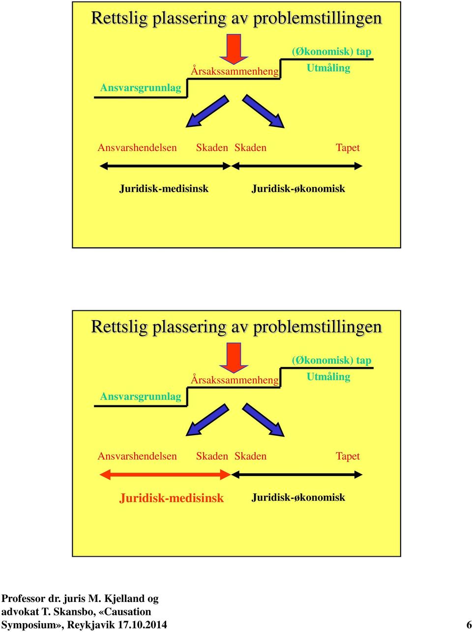 Ansvarshendelsen Skaden Skaden Tapet Juridisk-medisinsk Juridisk-økonomisk Symposium»,