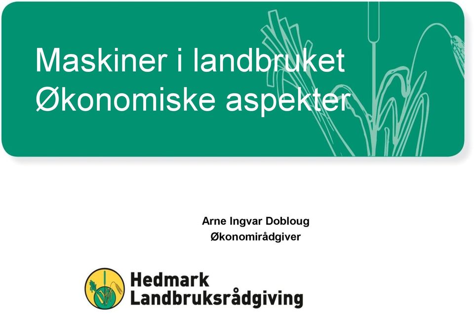 Økonomiske aspekter