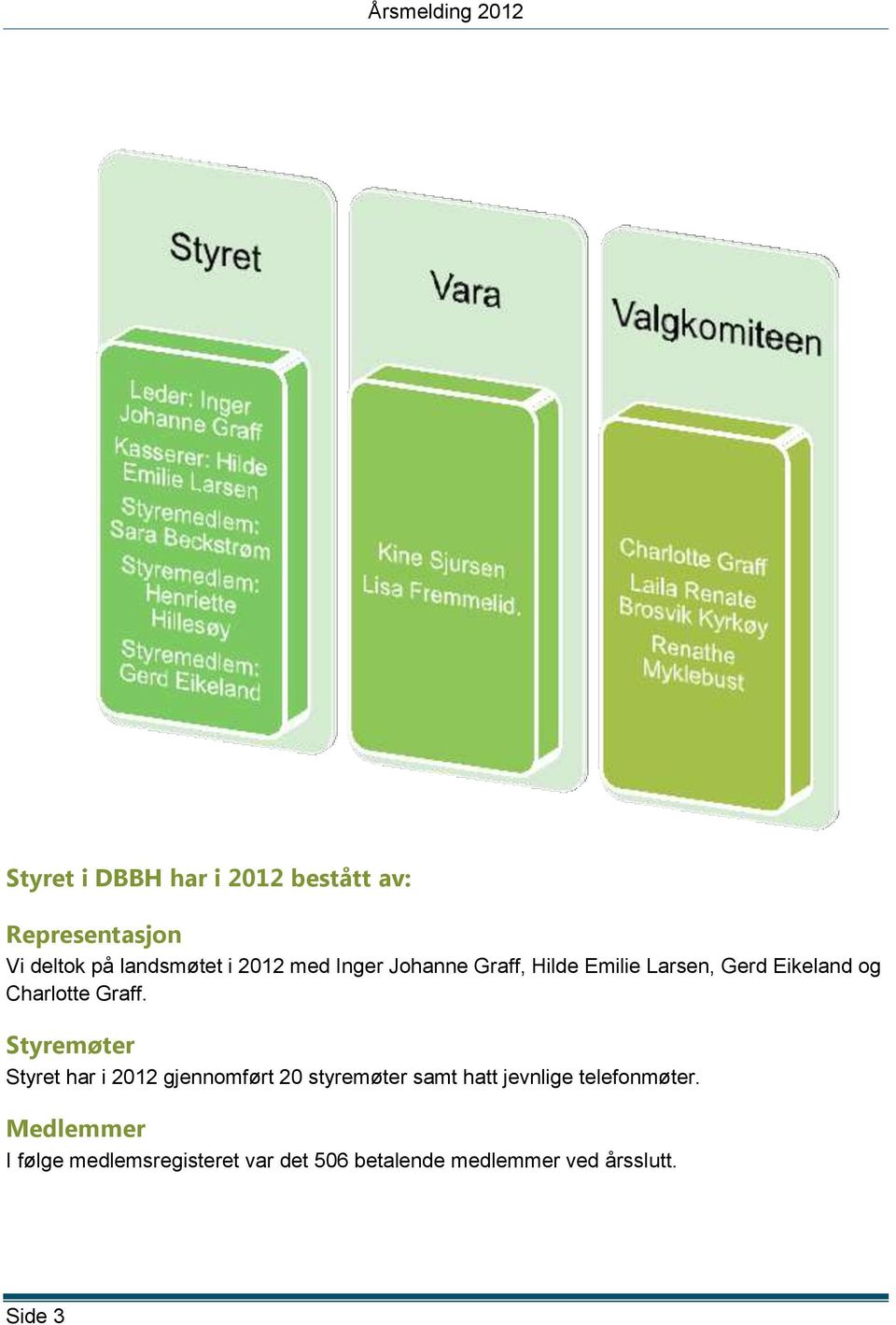 Styremøter Styret har i 2012 gjennomført 20 styremøter samt hatt jevnlige