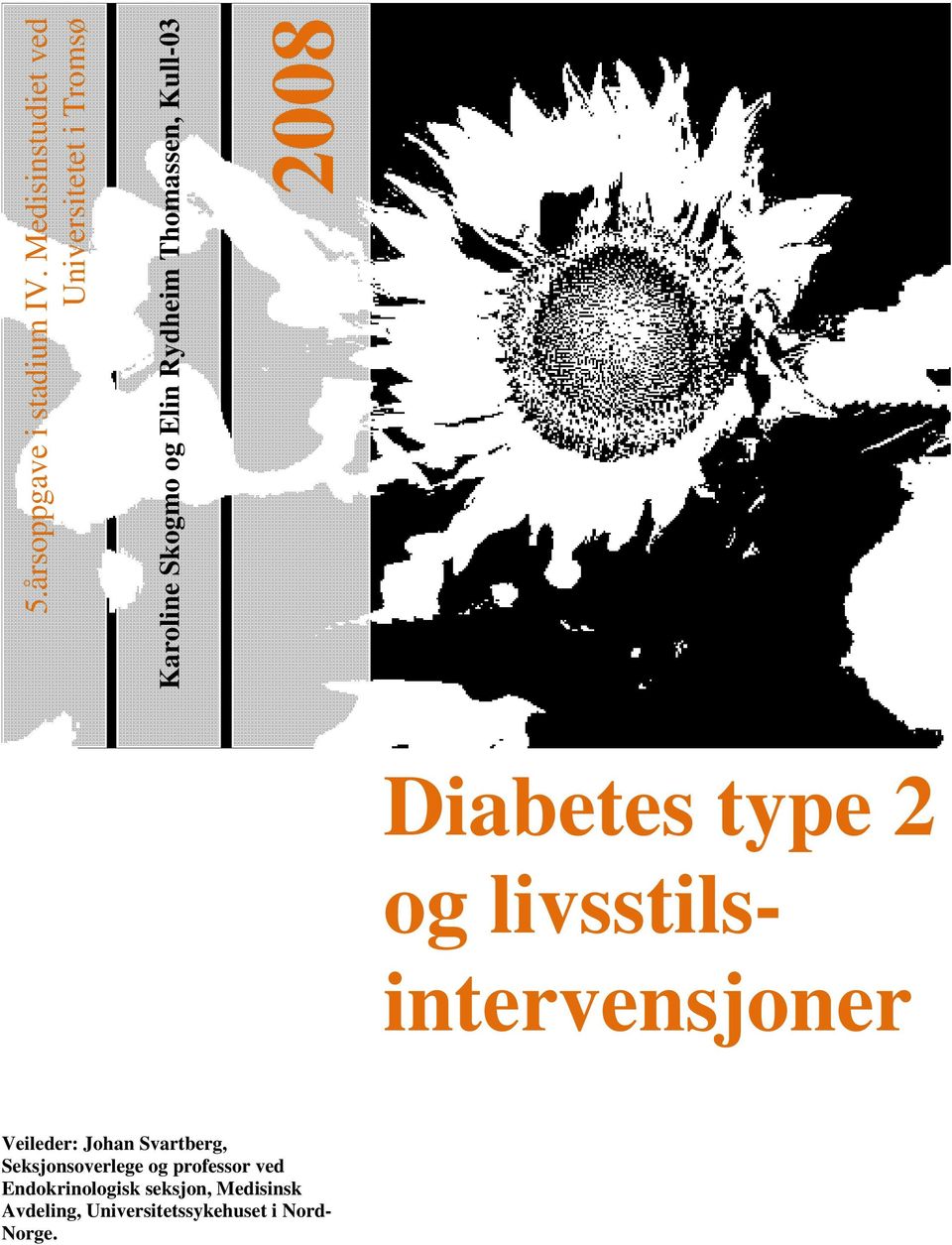 Thomassen, Kull-03 2008 Diabetes type 2 og livsstilsintervensjoner Veileder: