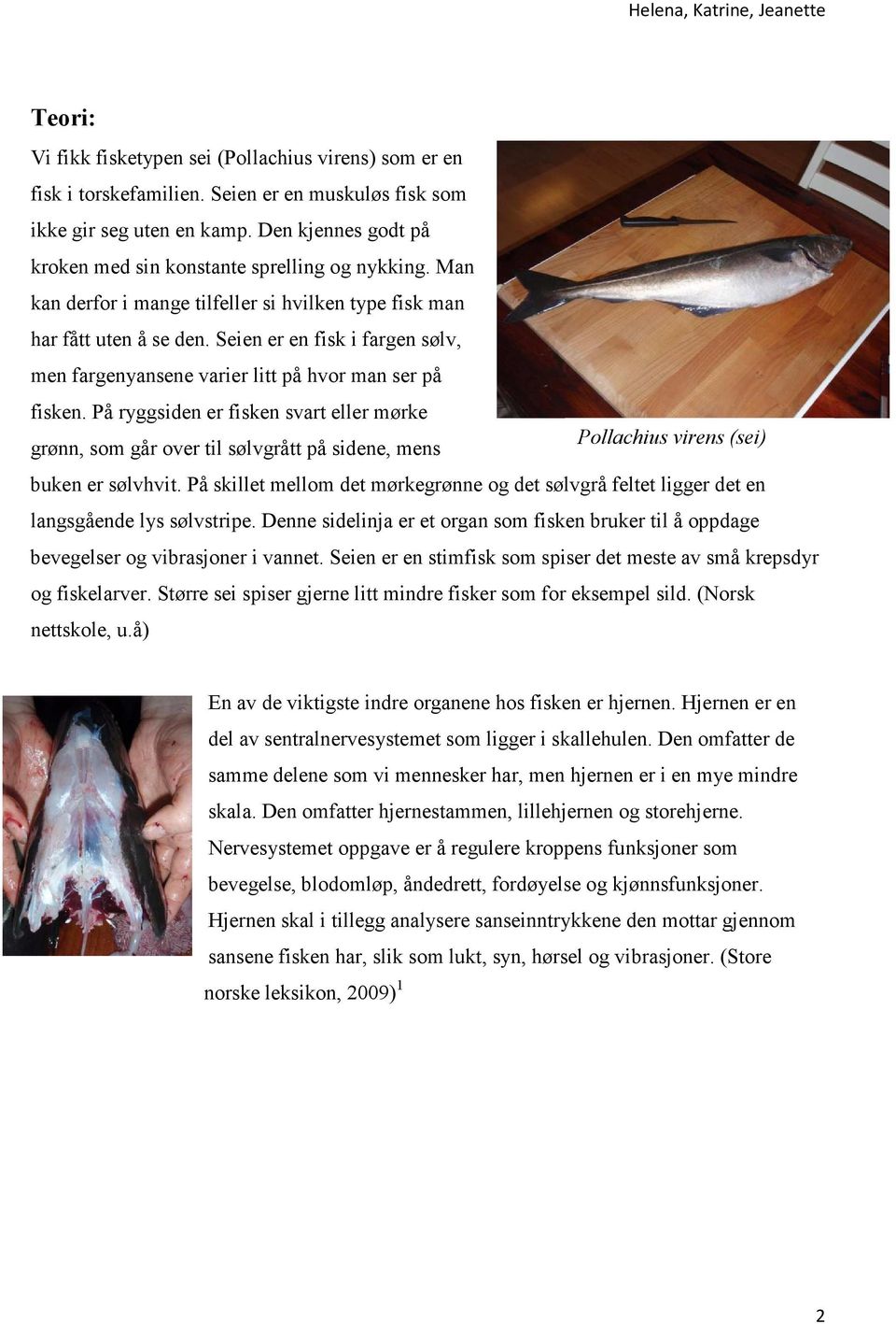 Seien er en fisk i fargen sølv, men fargenyansene varier litt på hvor man ser på fisken.