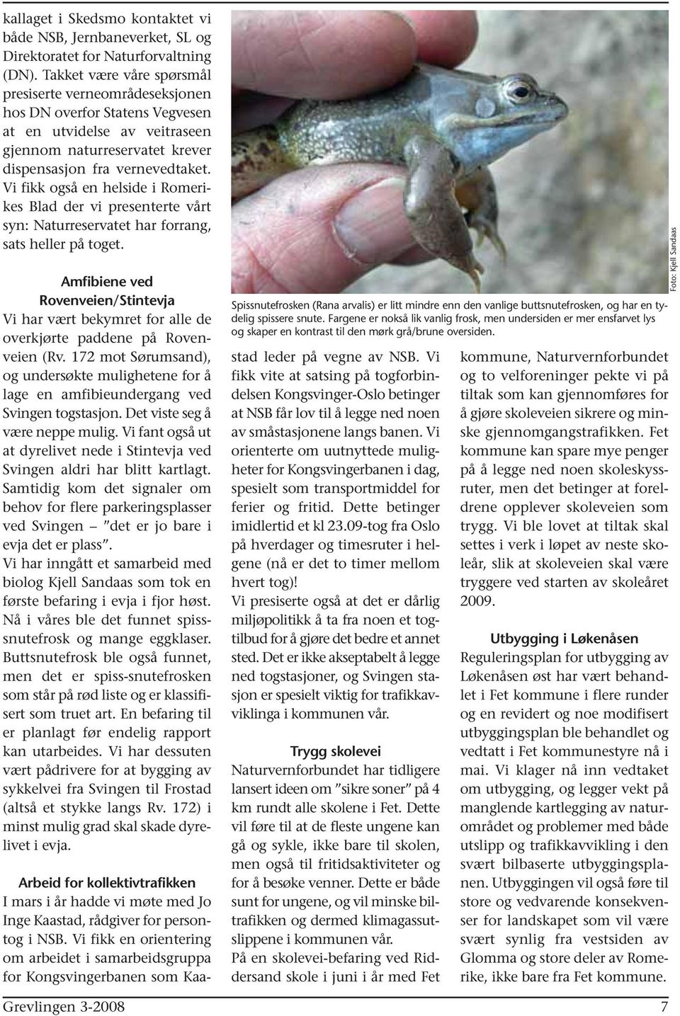 Vi fikk også en helside i Romerikes Blad der vi presenterte vårt syn: Naturreservatet har forrang, sats heller på toget.