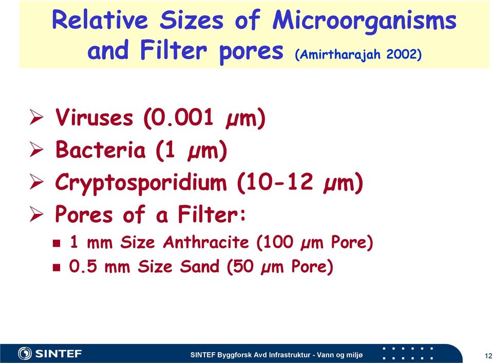 001 µm) Bacteria (1 µm) Cryptosporidium (10-12 µm) Pores of a
