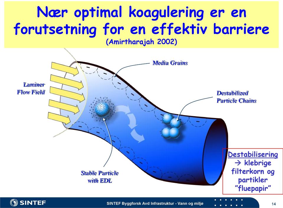 Particle Chains Stable Particle with EDL Destabilisering klebrige