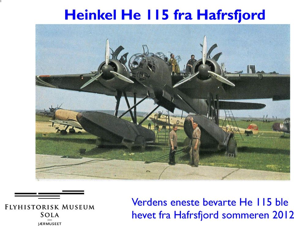 eneste bevarte He 115