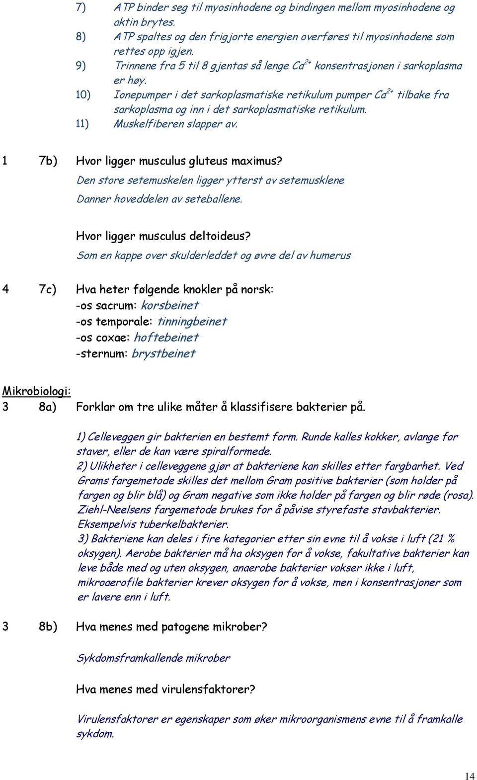 10) Ionepumper i det sarkoplasmatiske retikulum pumper Ca 2+ tilbake fra sarkoplasma og inn i det sarkoplasmatiske retikulum. 11) Muskelfiberen slapper av. 1 7b) Hvor ligger musculus gluteus maximus?