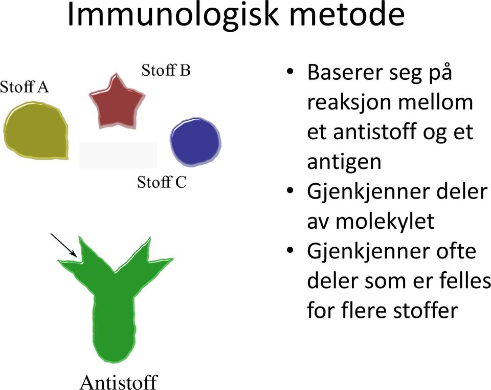 antigen Gjenkjenner deler av molekylet