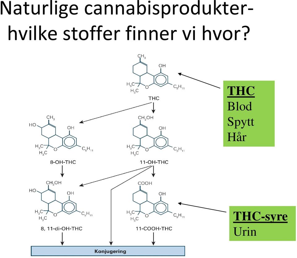 hvilke stoffer finner