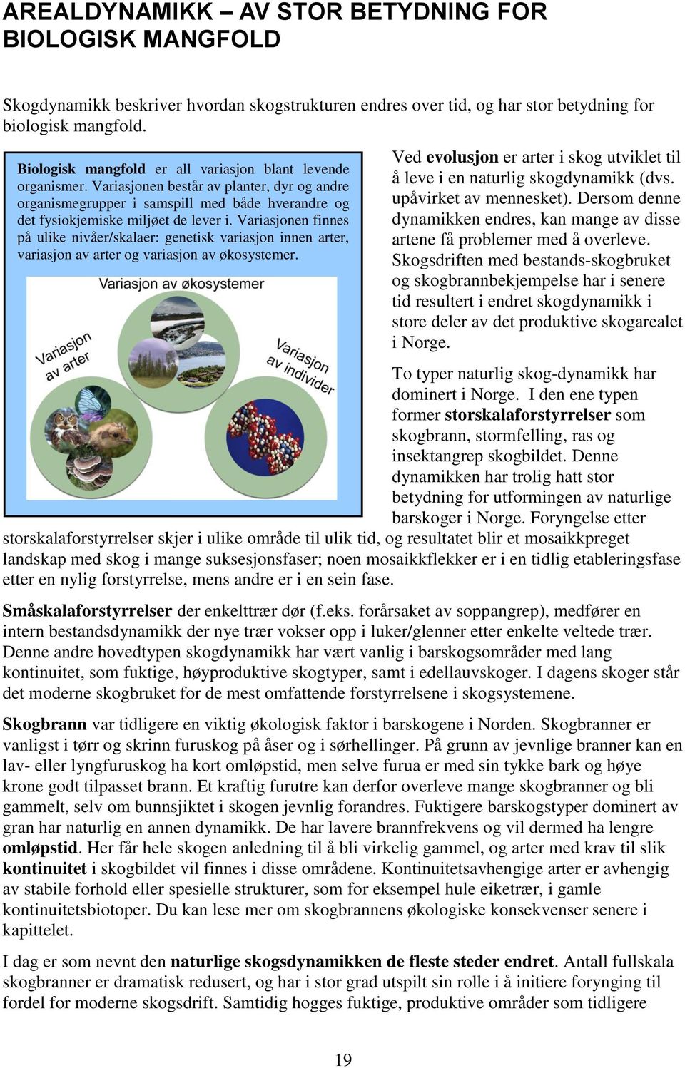 Variasjonen finnes på ulike nivåer/skalaer: genetisk variasjon innen arter, variasjon av arter og variasjon av økosystemer.