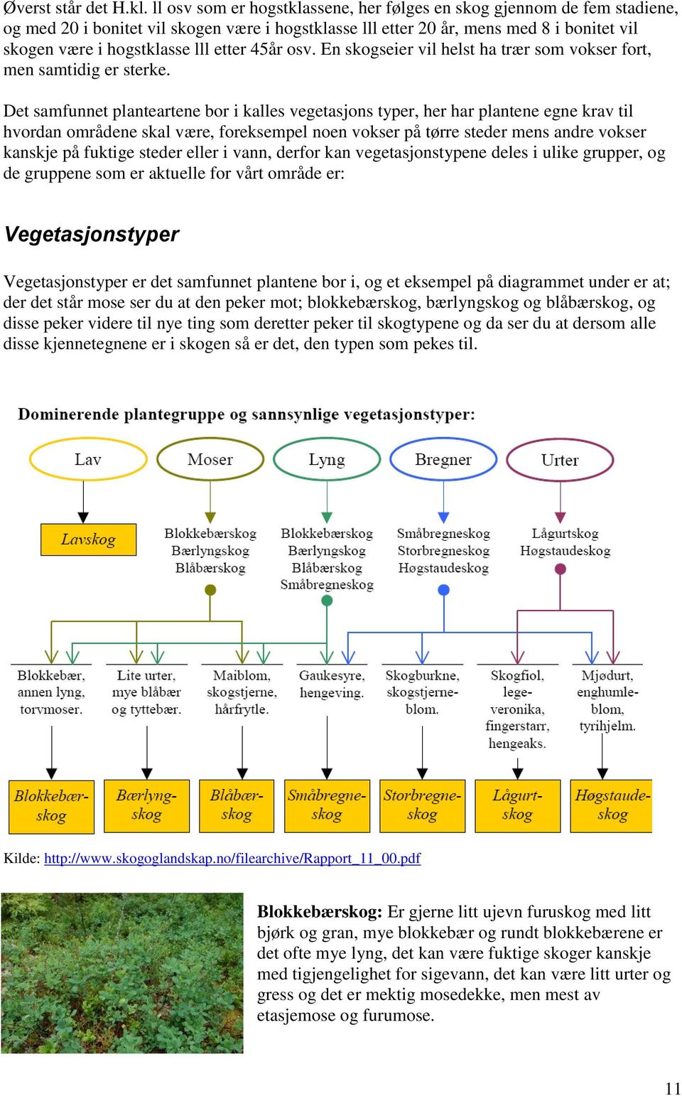 etter 45år osv. En skogseier vil helst ha trær som vokser fort, men samtidig er sterke.