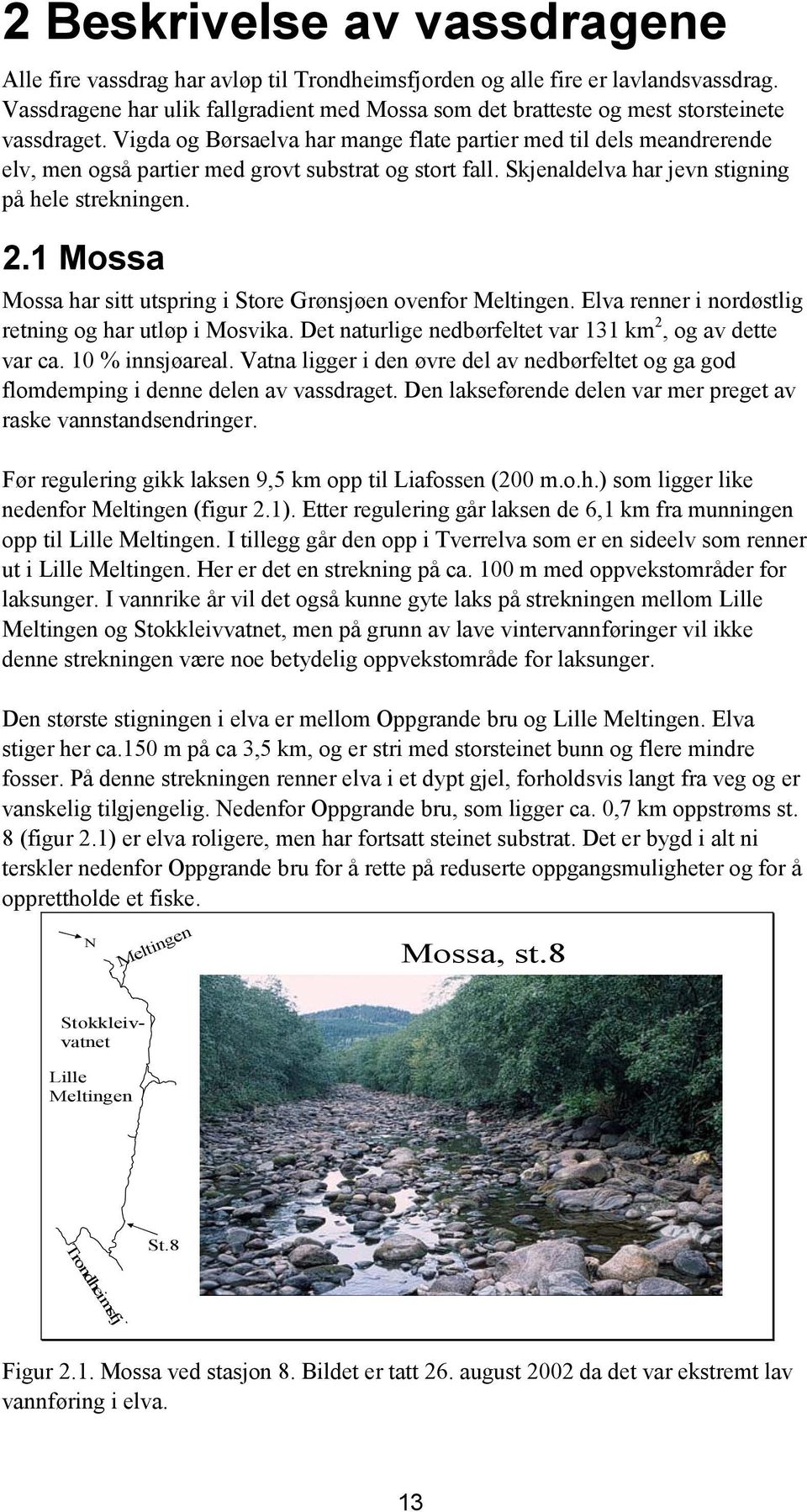 Vigda og Børsaelva har mange flate partier med til dels meandrerende elv, men også partier med grovt substrat og stort fall. Skjenaldelva har jevn stigning på hele strekningen. 2.