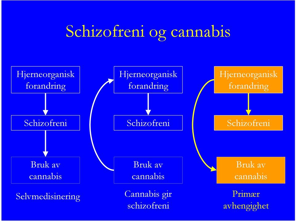 Schizofreni Schizofreni Schizofreni Bruk av cannabis