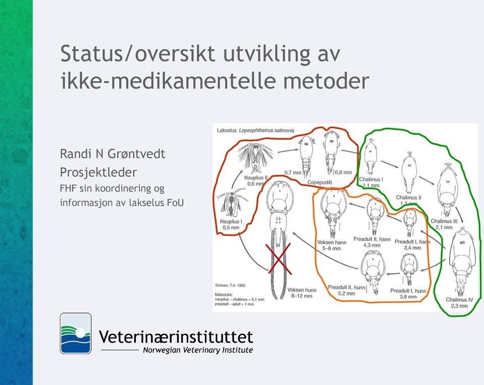 N Grøntvedt Prosjektleder FHF sin