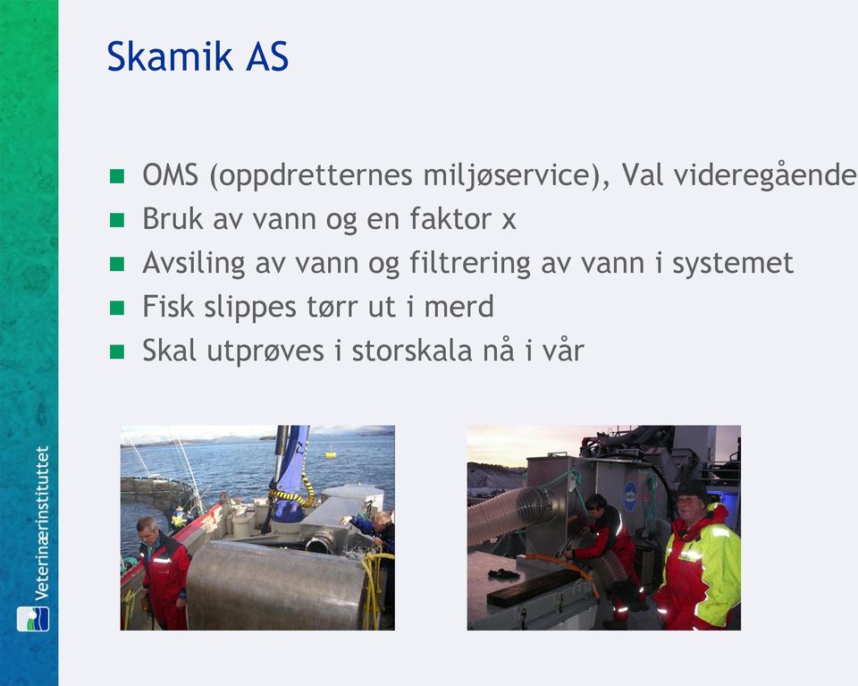 av vann og filtrering av vann i systemet Fisk