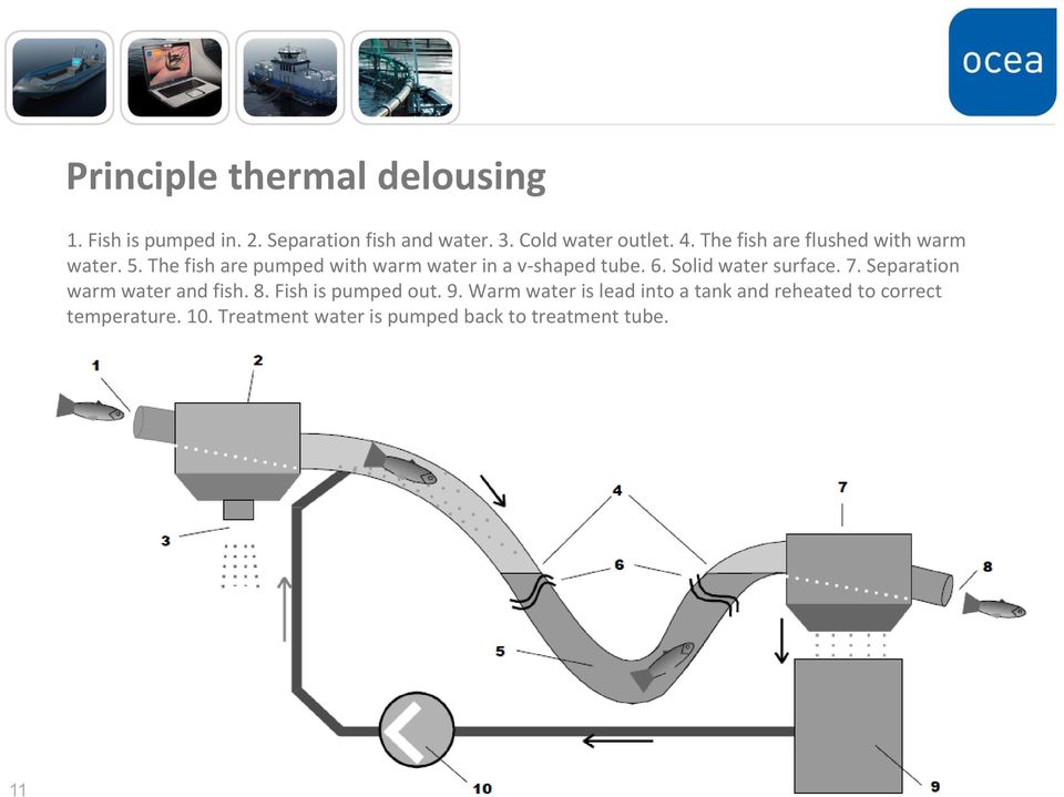 Solid water surface. 7. Separation warm water and fish. 8. Fish is pumped out. 9.