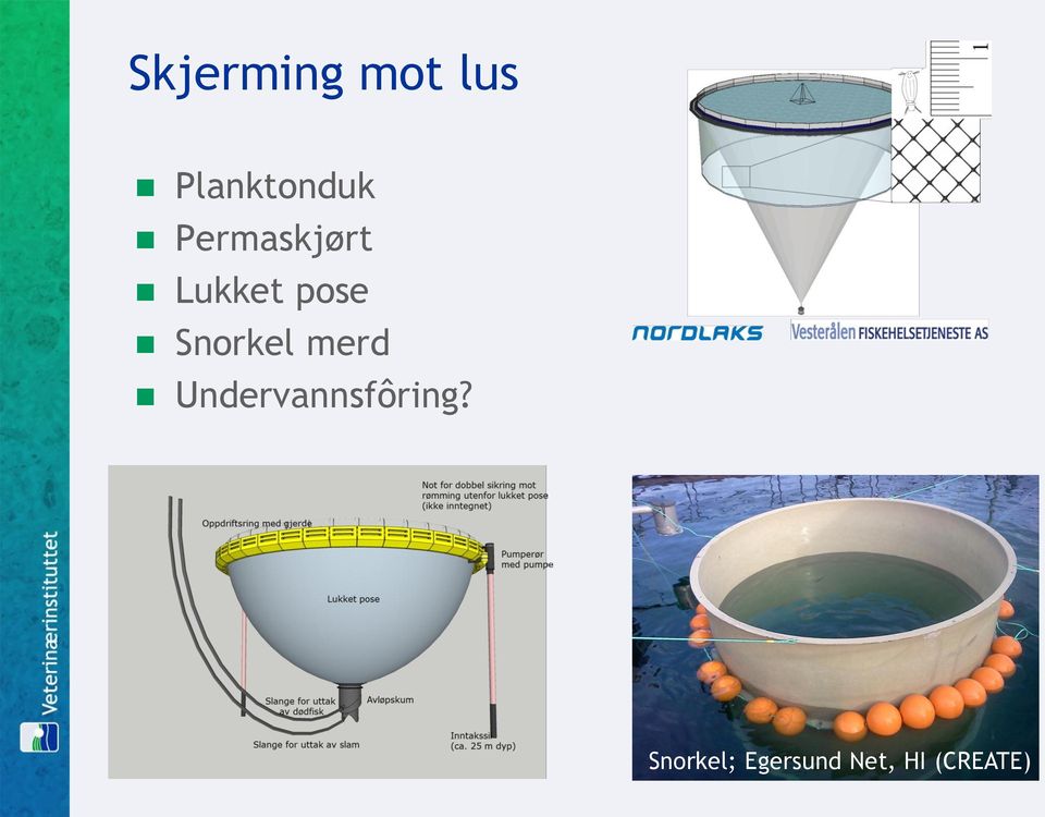 Snorkel merd Undervannsfôring?