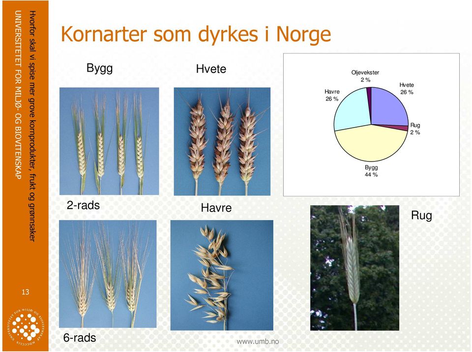 Oljevekster 2 % Bygg 44 % Hvete 26 % Rug