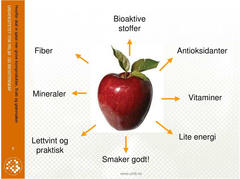 Antioksidanter Vitaminer Lite energi