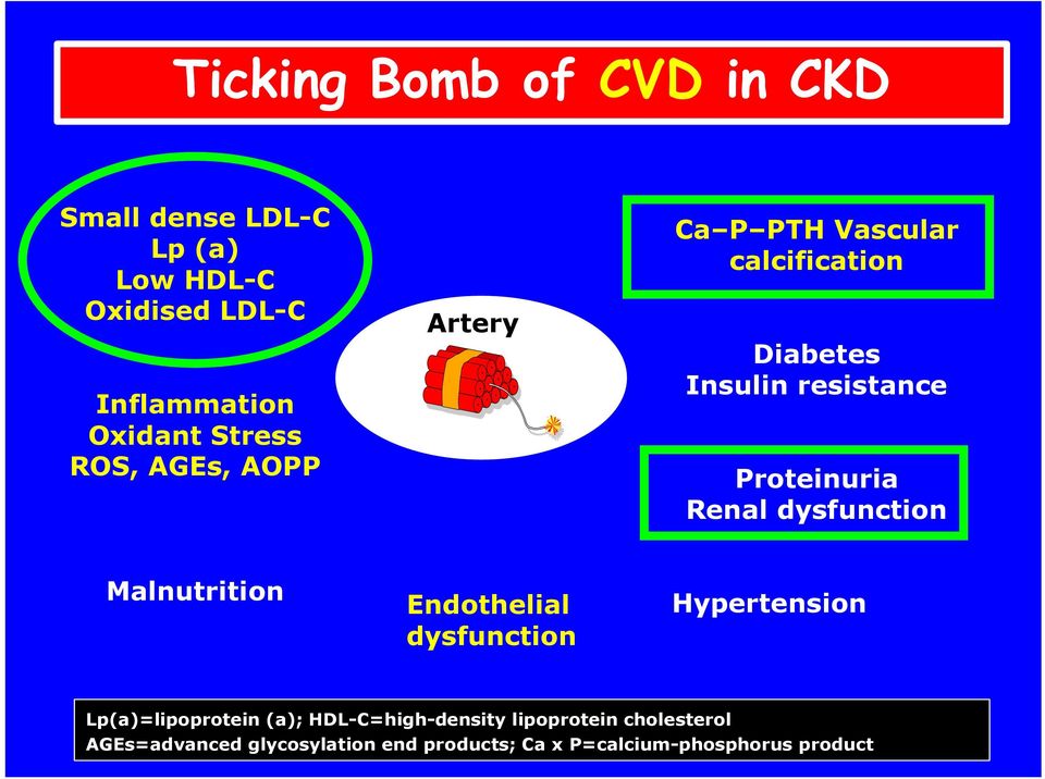 Renal dysfunction Malnutrition Endothelial dysfunction Hypertension Lp(a)=lipoprotein (a);