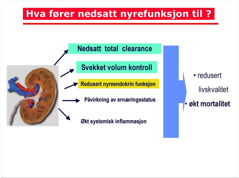 Redusert nyreendokrin funksjon Påvirkning av