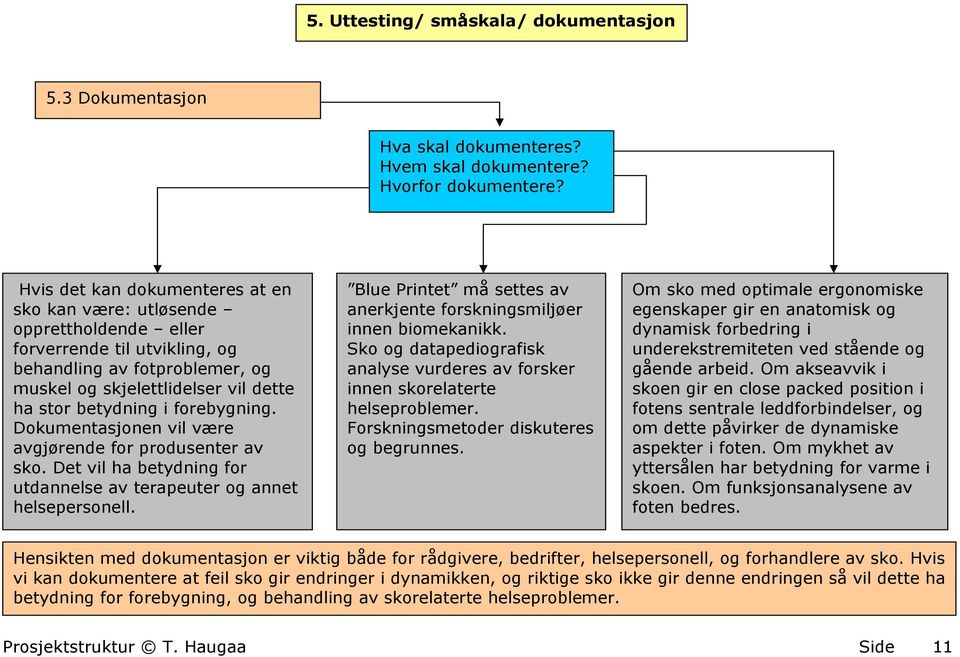 forebygning. Dokumentasjonen vil være avgjørende for produsenter av sko. Det vil ha betydning for utdannelse av terapeuter og annet helsepersonell.