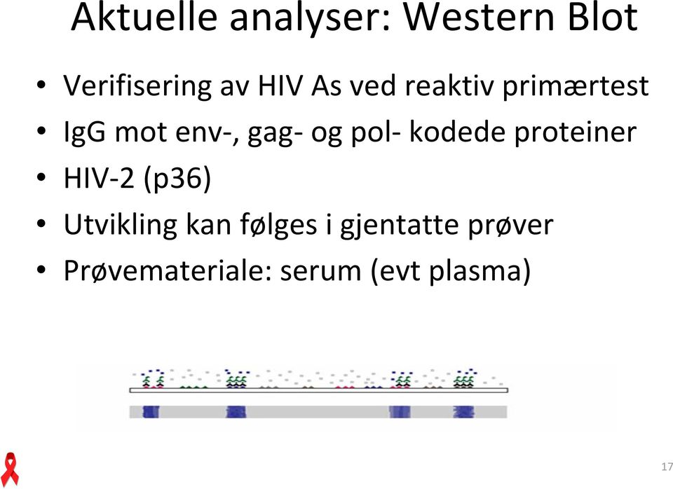kodede proteiner HIV 2 (p36) Utvikling kan følges i