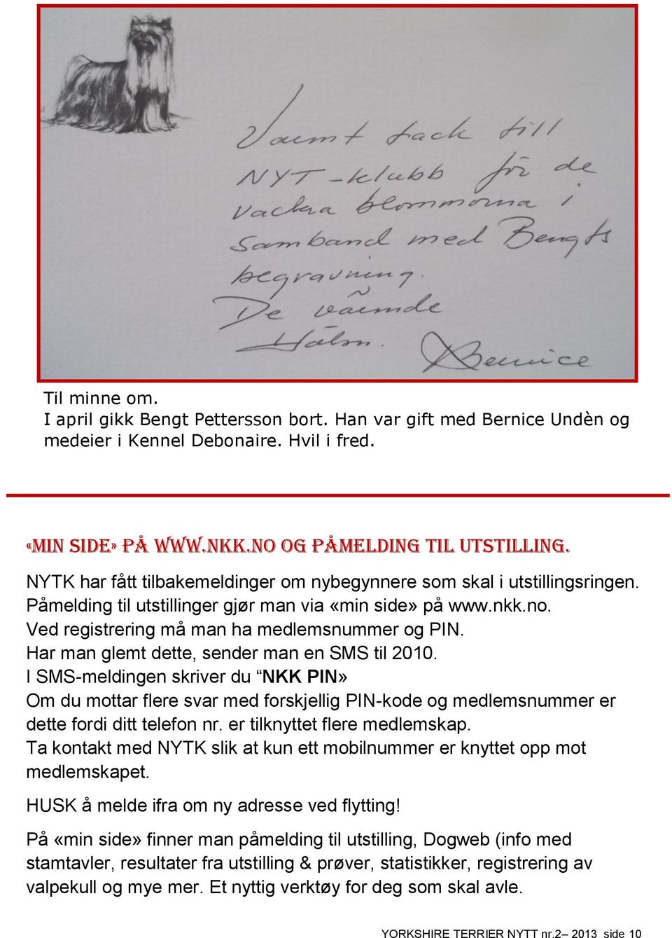 Har man glemt dette, sender man en SMS til 2010. I SMS-meldingen skriver du NKK PIN» Om du mottar flere svar med forskjellig PIN-kode og medlemsnummer er dette fordi ditt telefon nr.