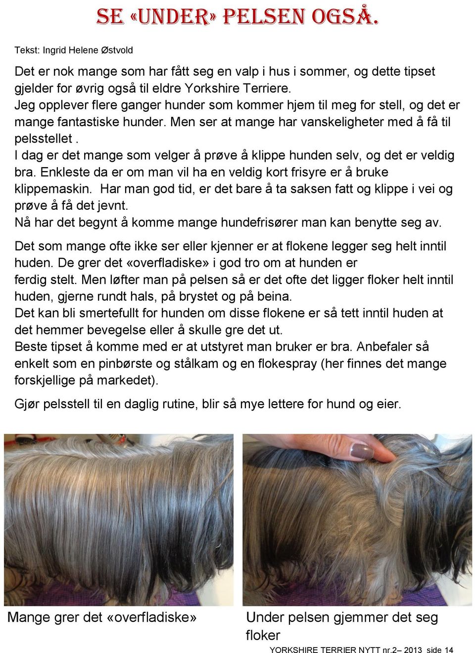 I dag er det mange som velger å prøve å klippe hunden selv, og det er veldig bra. Enkleste da er om man vil ha en veldig kort frisyre er å bruke klippemaskin.