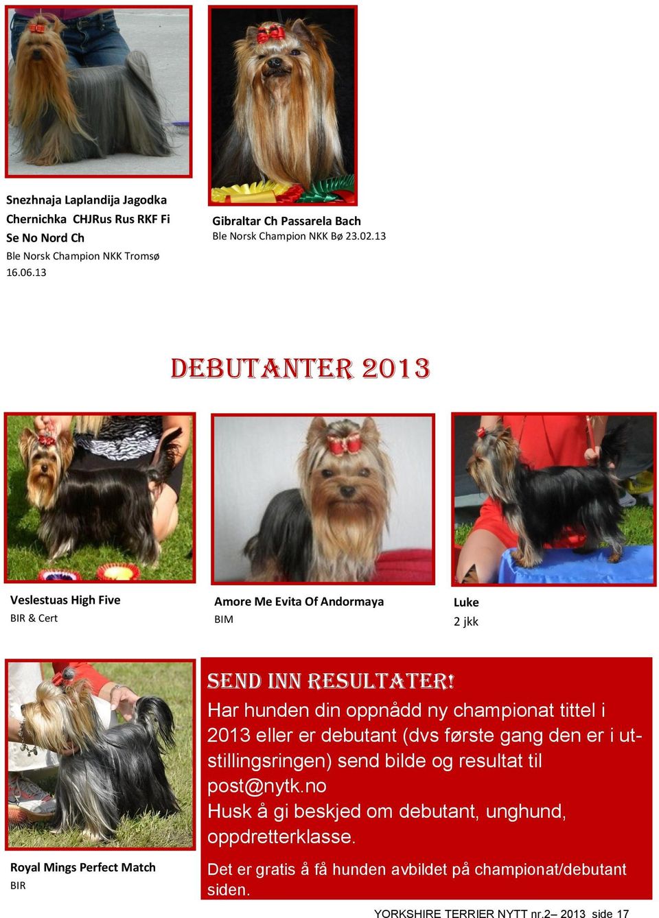 13 DEBUTANTER 2013 Veslestuas High Five BIR & Cert Amore Me Evita Of Andormaya BIM Luke 2 jkk Send inn resultater!