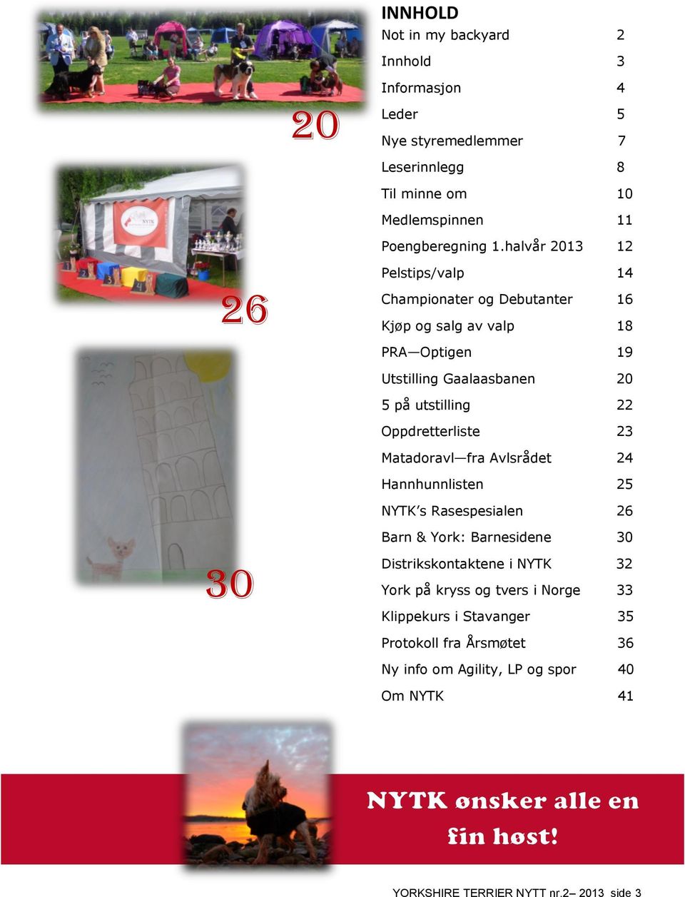 Oppdretterliste 23 Matadoravl fra Avlsrådet 24 Hannhunnlisten 25 NYTK s Rasespesialen 26 30 Barn & York: Barnesidene 30 Distrikskontaktene i NYTK 32 York