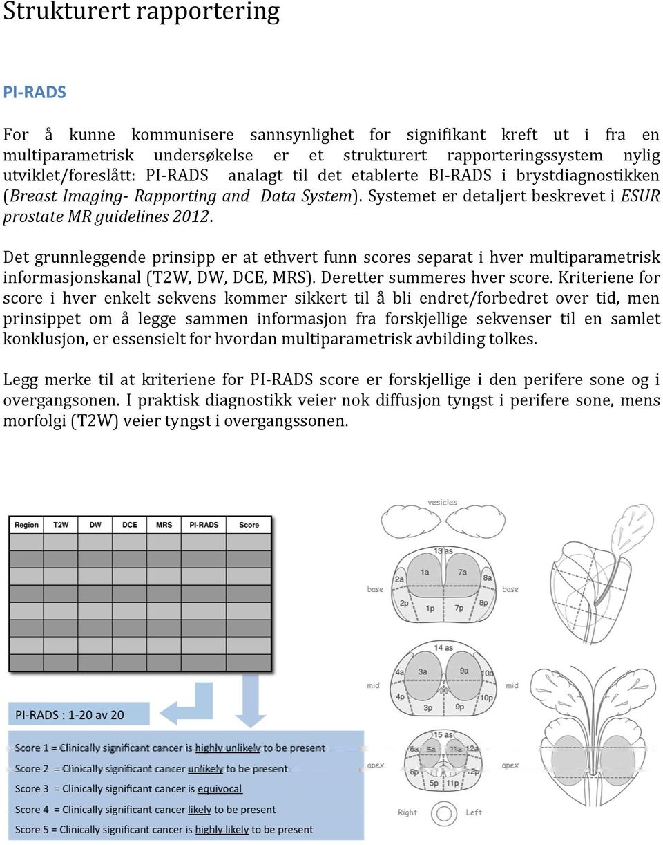 Det grunnleggende prinsipp er at ethvert funn scores separat i hver multiparametrisk informasjonskanal (T2W, DW, DCE, MRS). Deretter summeres hver score.