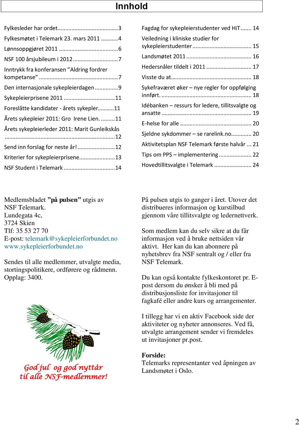 ... 11 Årets sykepleierleder 2011: Marit Gunleikskås... 12 Send inn forslag for neste år!... 12 Kriterier for sykepleierprisene... 13 NSF Student i Telemark... 14 Fagdag for sykepleierstudenter ved HiT.