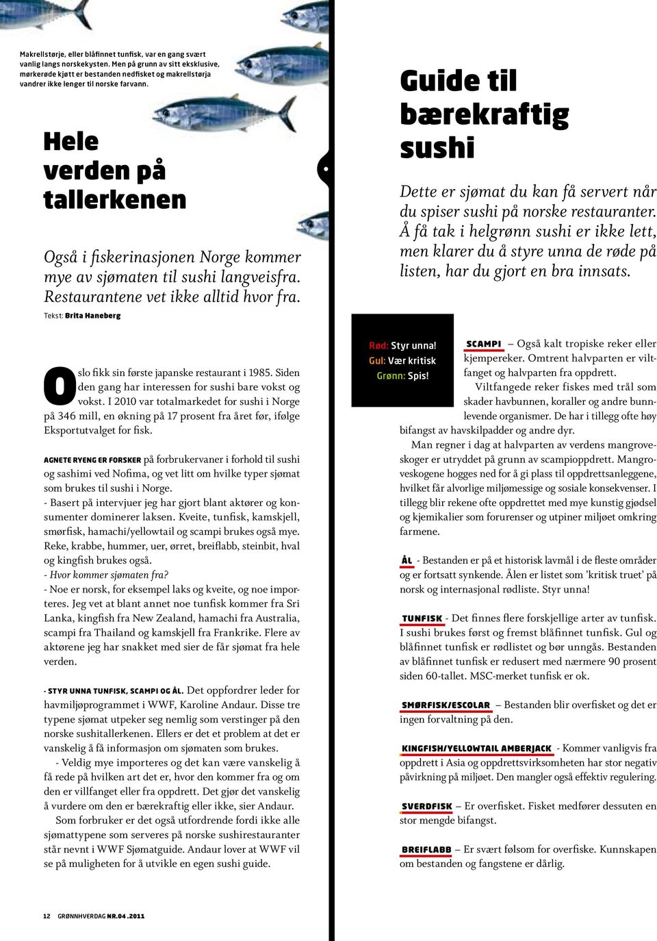 Hele verden på tallerkenen Også i fiskerinasjonen Norge kommer mye av sjømaten til sushi langveisfra. Restaurantene vet ikke alltid hvor fra.