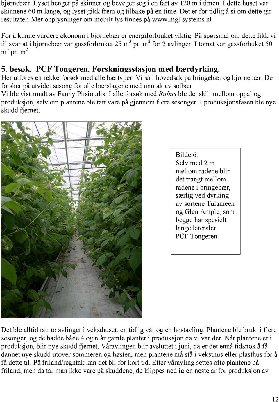På spørsmål om dette fikk vi til svar at i bjørnebær var gassforbruket 25 m 3 pr. m 2 for 2 avlinger. I tomat var gassforbuket 50 m 3 pr. m 2. 5. besøk. PCF Tongeren. Forskningsstasjon med bærdyrking.
