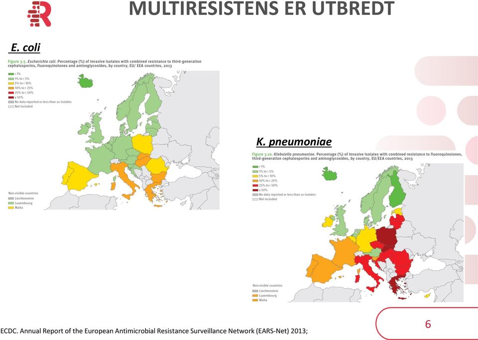 Annual Report of the European