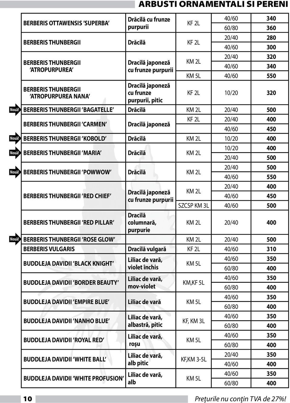 BERBERIS THUNBERGII CARMEN Dracilă japoneză 20/40 400 40/60 450 BERBERIS THUNBERGII KOBOLD Drăcilă 10/20 400 BERBERIS THUNBERGII MARIA Drăcilă 10/20 400 20/40 500 BERBERIS THUNBERGII POWWOW Drăcilă