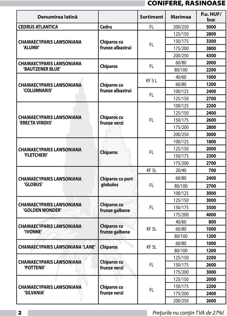 HUF/ buc CEDRUS ATLANTICA Cedru 200/250 5000 CHAMAECYPARIS LAWSONIANA ALUMII CHAMAECYPARIS LAWSONIANA BAUTZENER BLUE CHAMAECYPARIS LAWSONIANA COLUMNARIS CHAMAECYPARIS LAWSONIANA ERECTA VIRIDIS
