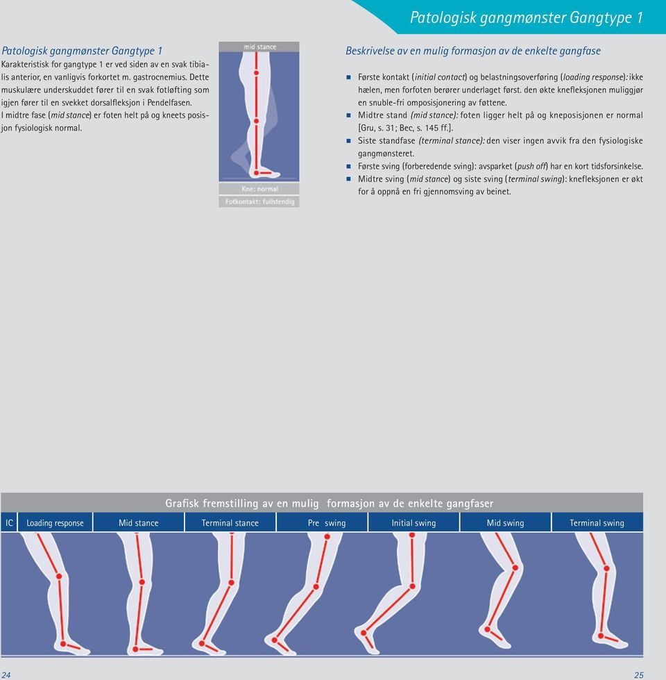 I midtre fase (mid stance) er foten helt på og kneets posisjon fysiologisk normal.