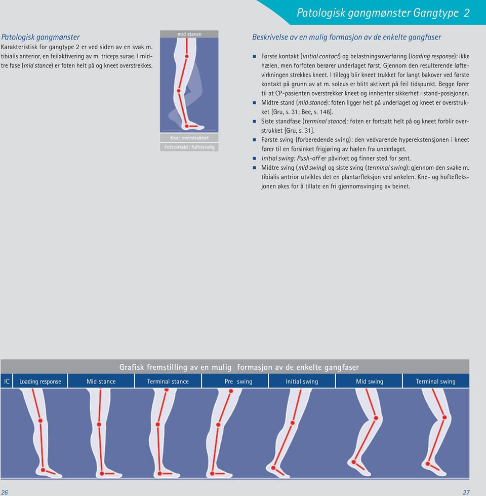 Beskrivelse av en mulig formasjon av de enkelte gangfaser Første kontakt (initial contact) og belastningsoverføring (loading response): ikke hælen, men forfoten berører underlaget først.