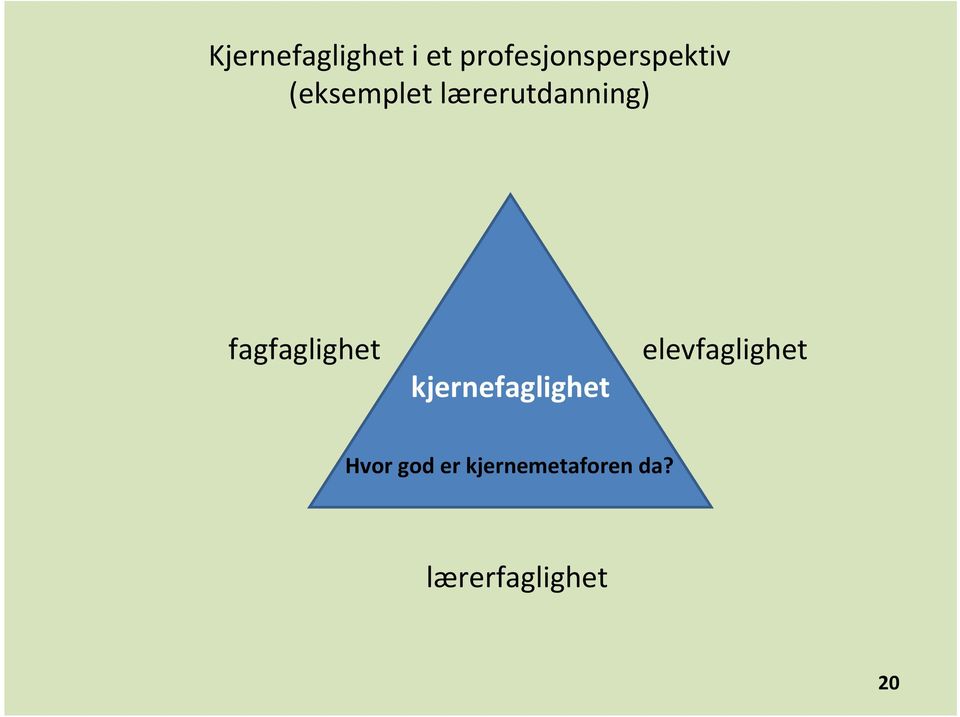 lærerutdanning) fagfaglighet