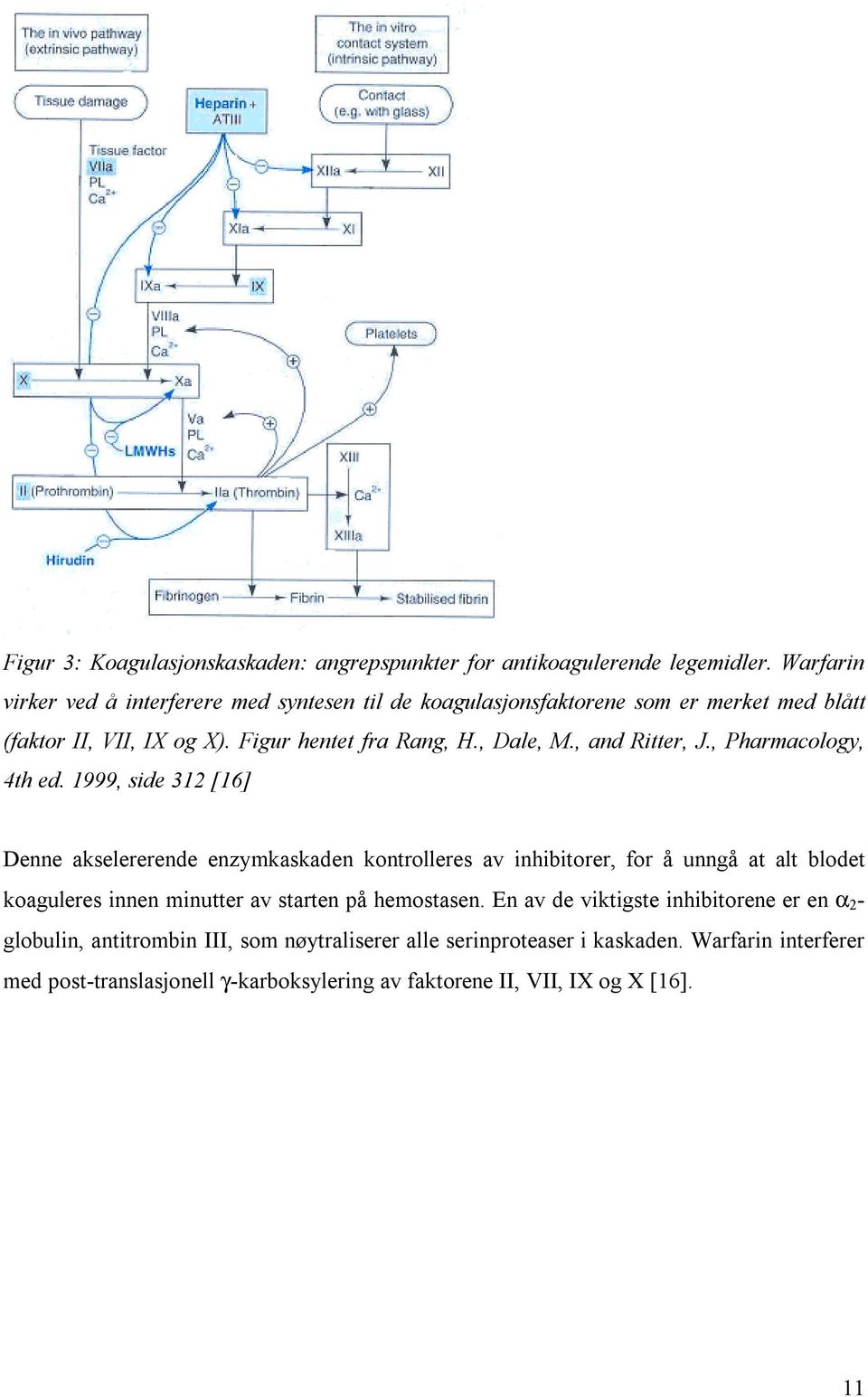 , and Ritter, J., Pharmacology, 4th ed.