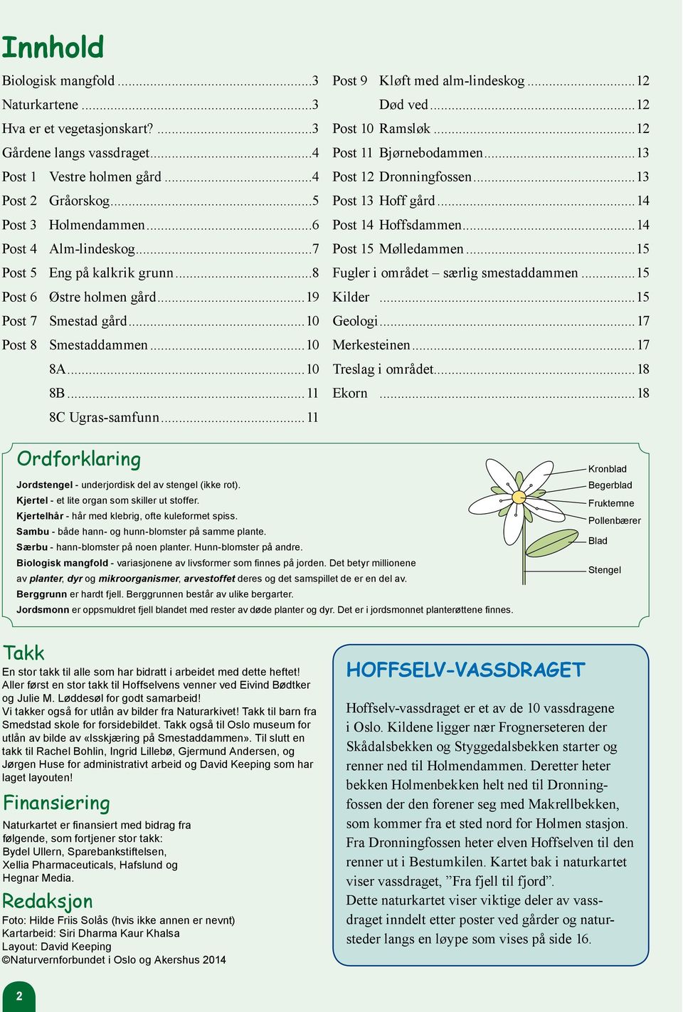 ..11 Post 9 Kløft med alm-lindeskog...12 Død ved...12 Post 10 Ramsløk...12 Post 11 Bjørnebodammen...13 Post 12 Dronningfossen...13 Post 13 Hoff gård...14 Post 14 Hoffsdammen...14 Post 15 Mølledammen.