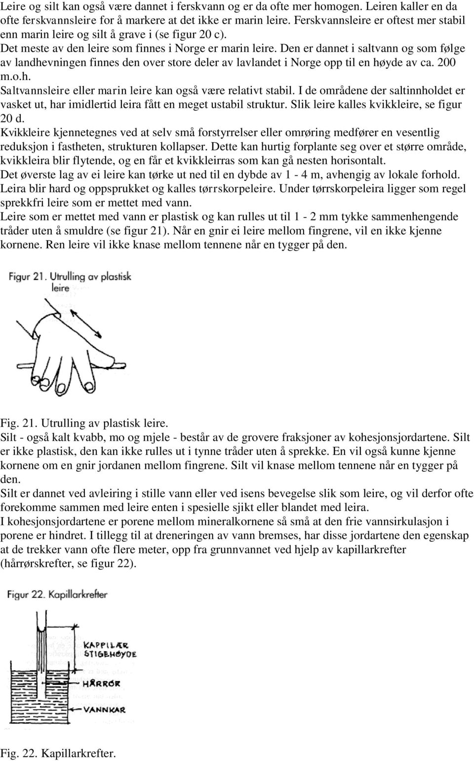 Den er dannet i saltvann og som følge av landhevningen finnes den over store deler av lavlandet i Norge opp til en høyde av ca. 200 m.o.h. Saltvannsleire eller marin leire kan også være relativt stabil.