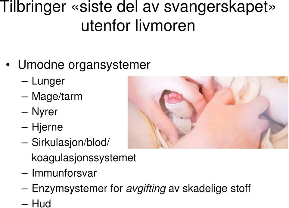 Hjerne Sirkulasjon/blod/ koagulasjonssystemet