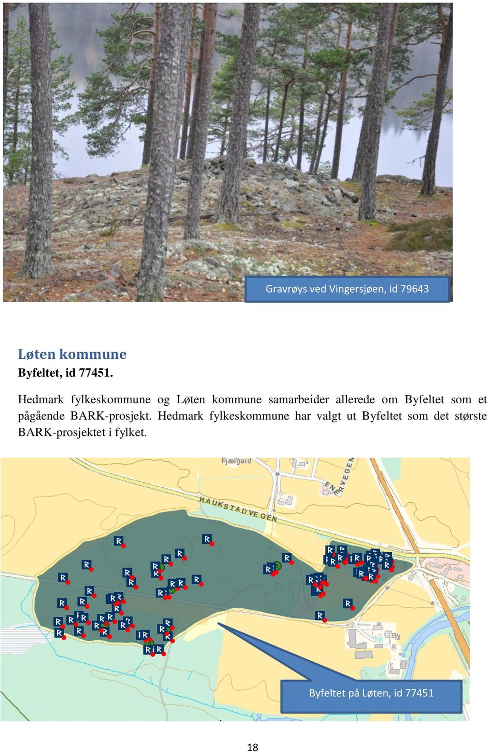 som et pågående BARK-prosjekt.