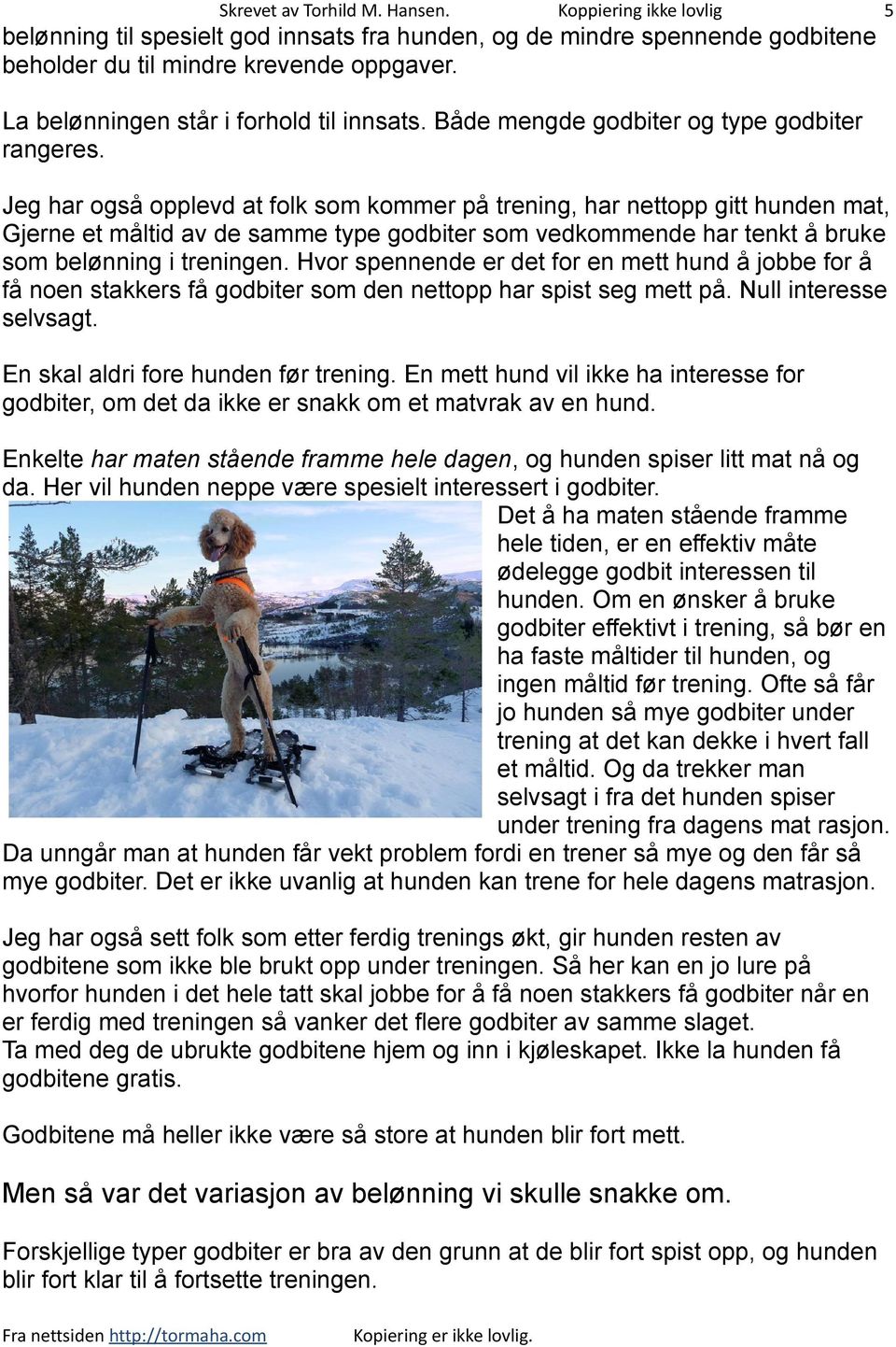 Jeg har også opplevd at folk som kommer på trening, har nettopp gitt hunden mat, Gjerne et måltid av de samme type godbiter som vedkommende har tenkt å bruke som belønning i treningen.