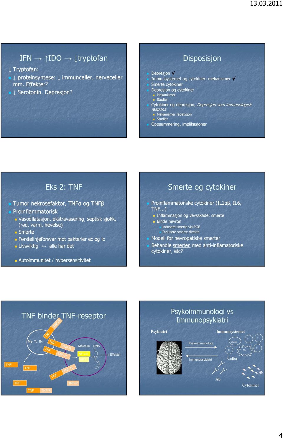 Oppsummering, implikasjoner Eks 2: NF umor nekrosefaktor, NFα og NFβ Proinflammatorisk Vasodilatasjon, ekstravasering, septisk sjokk, (rød, varm, hevelse) Smerte Førstelinjeforsvar mot bakterier ec